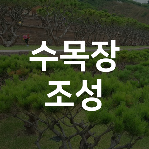 수목장-조성.png